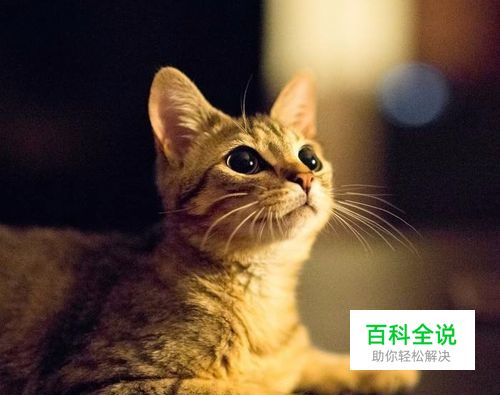 拍照时，怎么在照片上添加水印