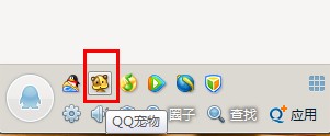 QQ宠物无法打开