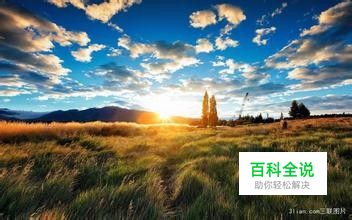 QQ达人补救方法