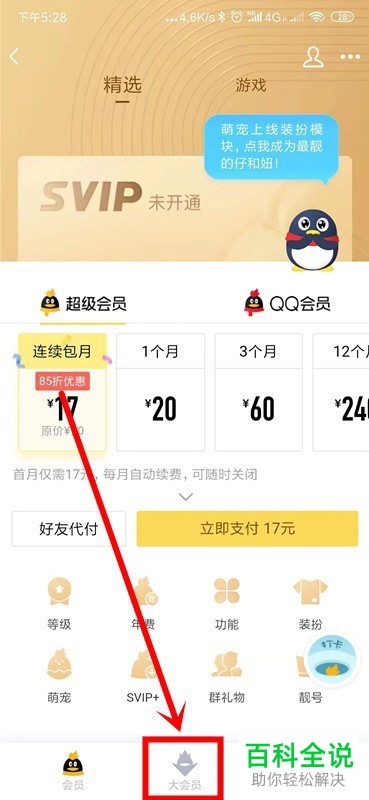 QQ的大会员怎么开通以及QQ大会员的作用是什么