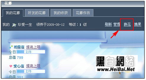 QQ空间花藤唯美应用说明