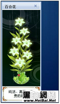 QQ空间花藤唯美应用说明