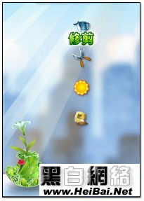 QQ空间花藤唯美应用说明