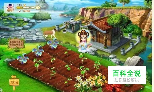 QQ农场、QQ超市不能显示（网页游戏玩不了）