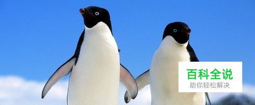 qq评论权限的详细设置