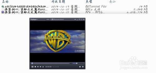 qq旋风下到99.9不动了怎么解决?