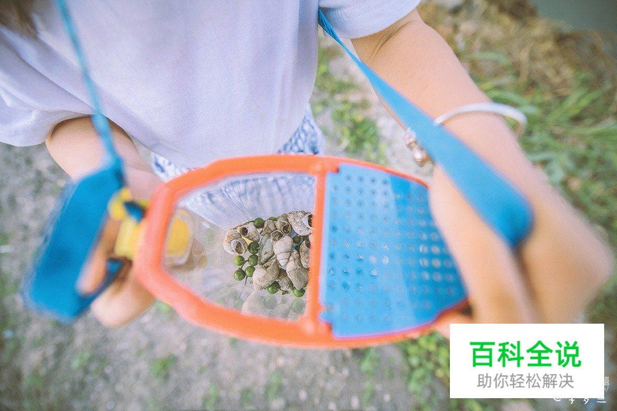 日常儿童摄影的十个要点