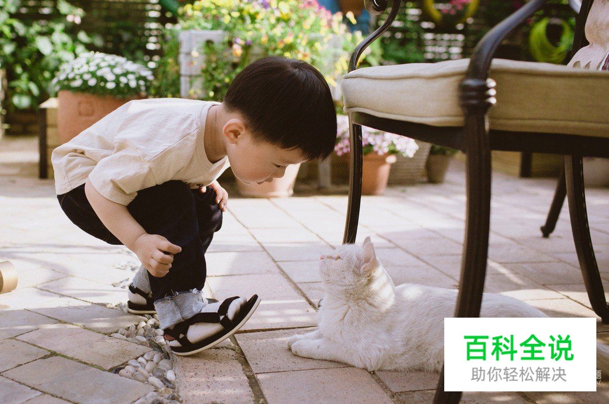 日常儿童摄影的十个要点