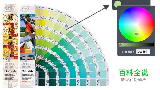 让顶尖设计师告诉你10个色彩运用秘籍