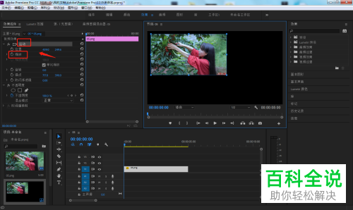 如何保存PR软件中制作好的预设