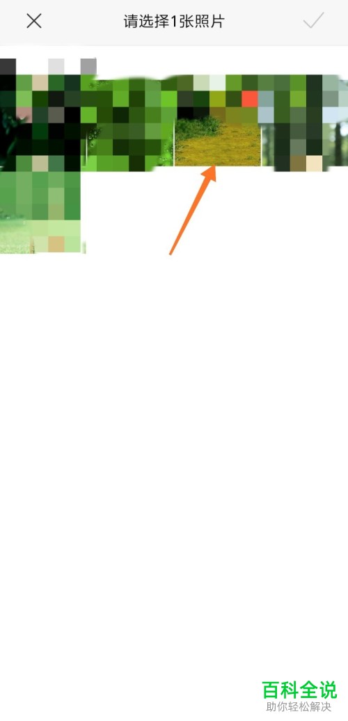 如何编辑修改小红书手机app内的个人资料