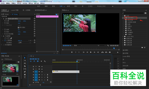 如何保存PR软件中制作好的预设