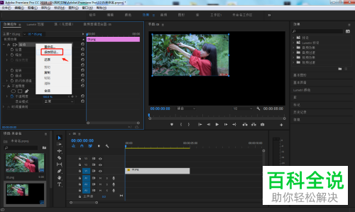 如何保存PR软件中制作好的预设