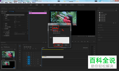 如何保存PR软件中制作好的预设