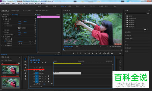 如何保存PR软件中制作好的预设