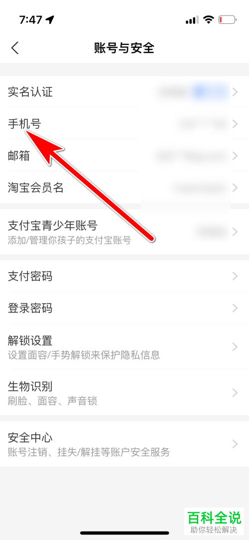 如何查询个人名下的所有支付宝账号