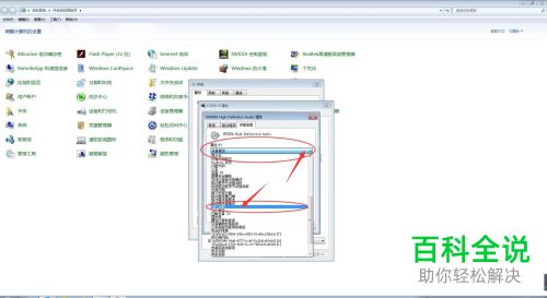 如何查看电脑C2450-4设备的INF名称值