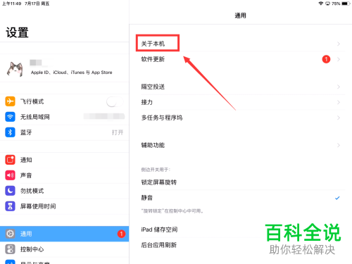 如何查看iPad软件版本