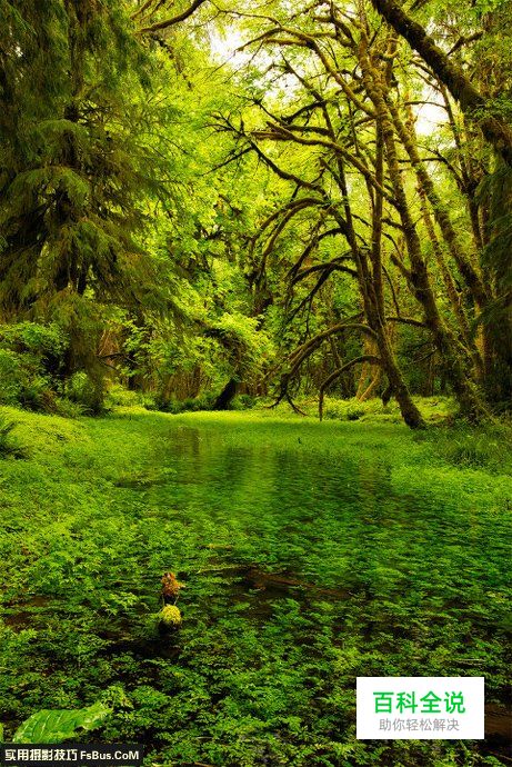 如何成为风光摄影菜鸟后期题材篇