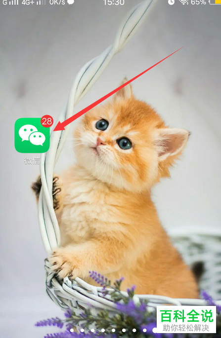 如何查看微信被永久封号的条件