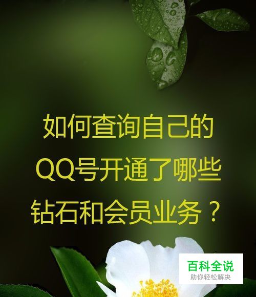 如何查询自己的QQ号开通了哪些钻石和会员业务？