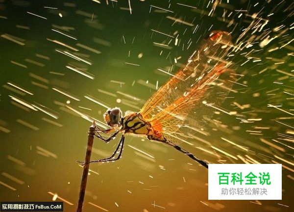 如何从一张照片中体现摄影功底