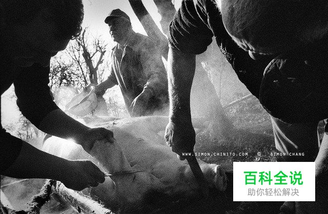 如何成为一个好的摄影师