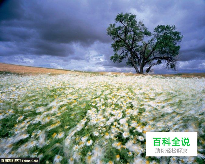 如何从一张照片中体现摄影功底