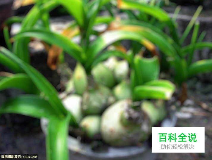 如何从一张照片中体现摄影功底