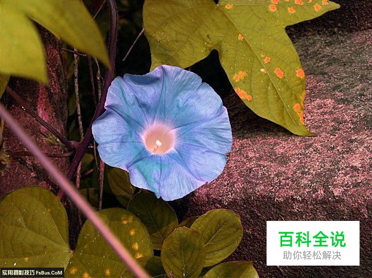 如何从一张照片中体现摄影功底