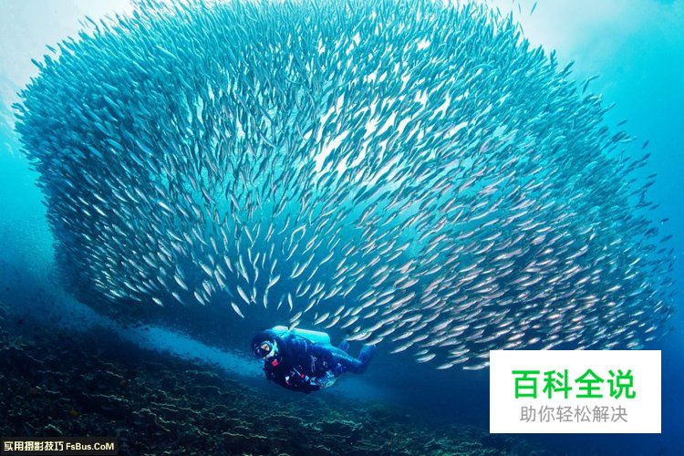 如何从一张照片中体现摄影功底