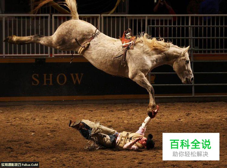 如何从一张照片中体现摄影功底