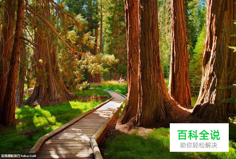 如何成为风光摄影菜鸟后期题材篇