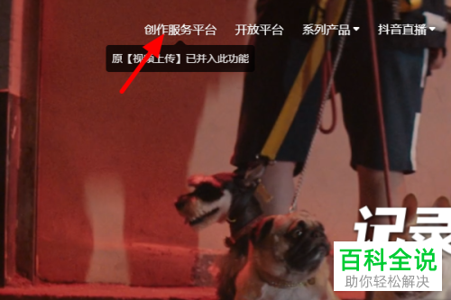 如何查看抖音中的创作者周报