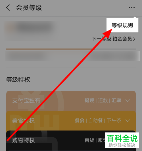 如何查看支付宝中会员的等级规则