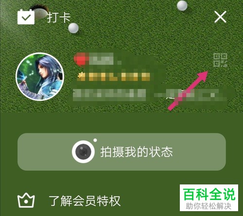 如何查看新版手机QQ内的收款码
