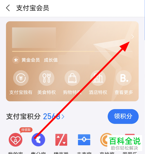 如何查看支付宝中会员的等级规则