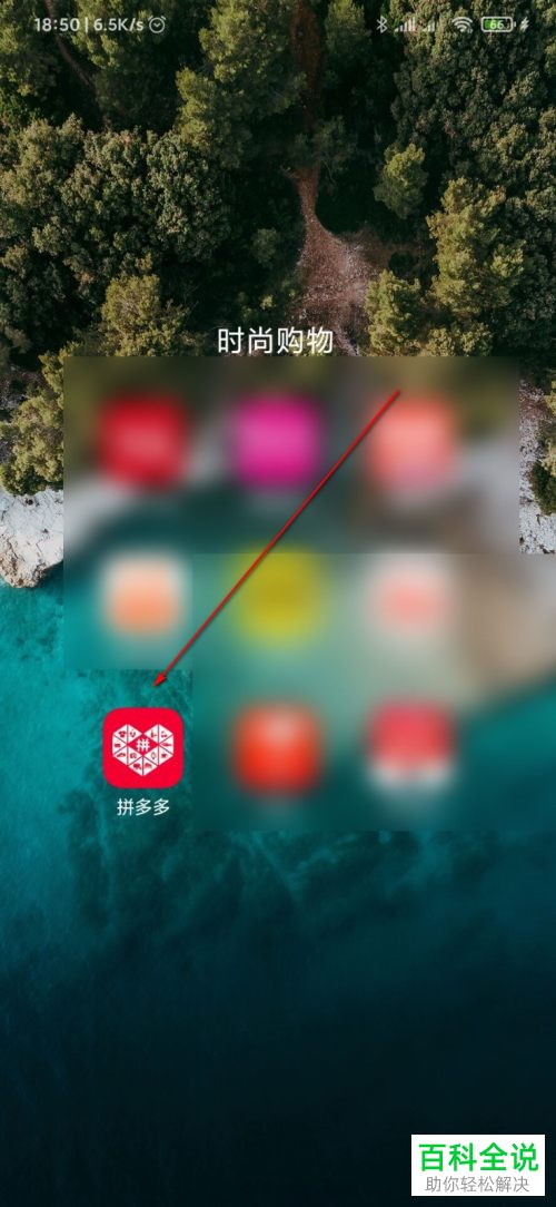 如何查看拼多多中剩余的免拼次数