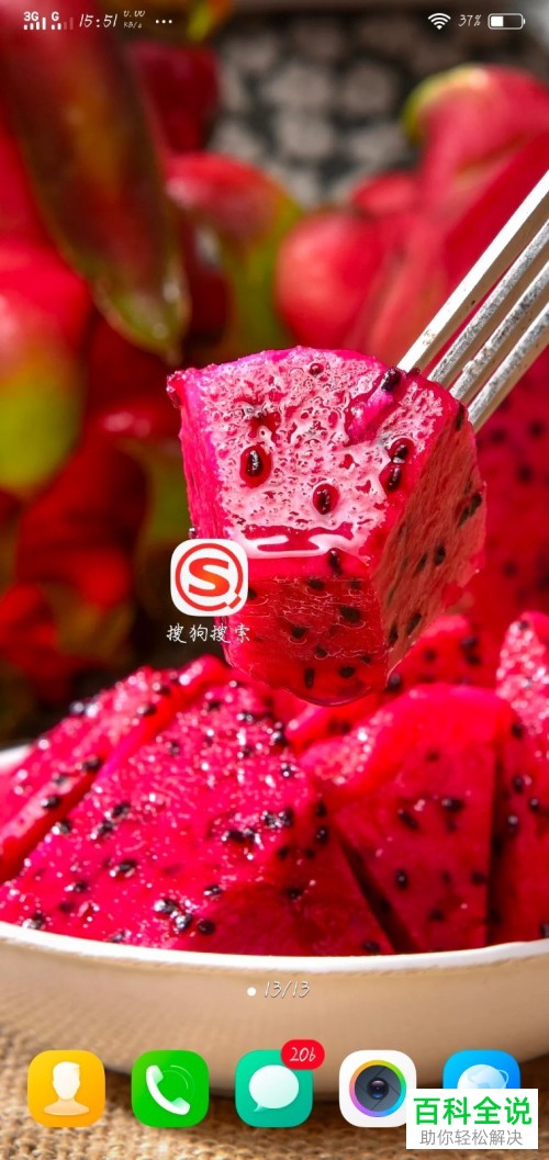 如何打开搜狗搜索App中的隐私模式