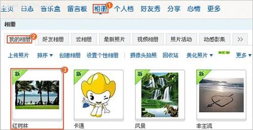 如何对相册里的照片进行排序?