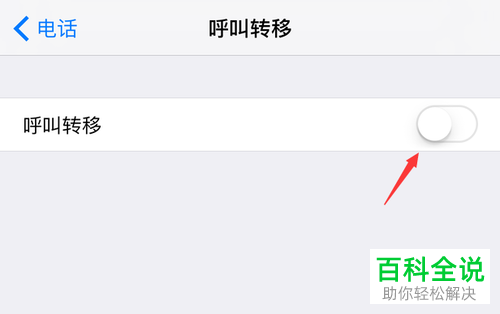 如何打开和设置苹果手机iPhone呼叫转移功能
