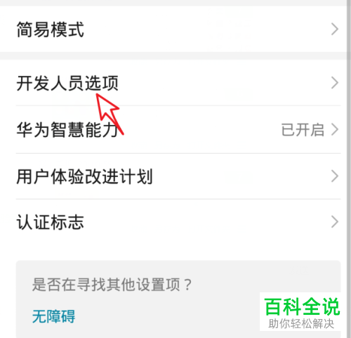如何打开和设置华为P30手机的开发人员选项