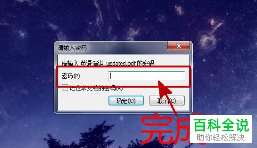 如何打开电脑版PDF文件的密码保护功能