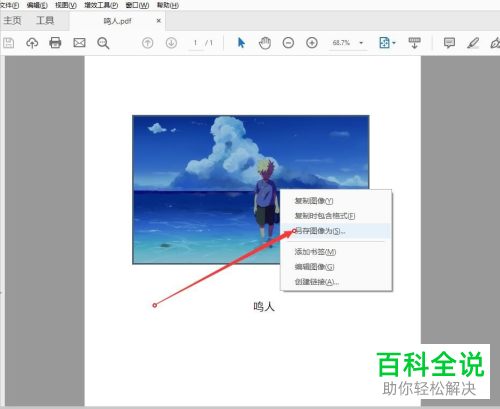 如何导出pdf文档中的图片