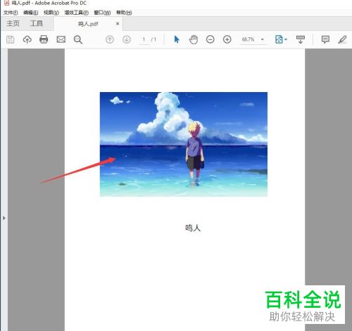 如何导出pdf文档中的图片