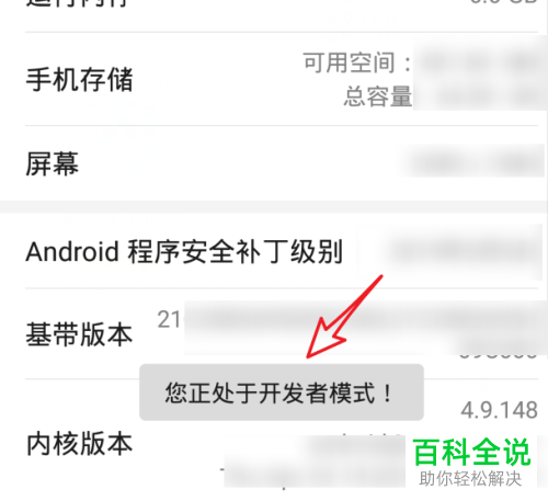 如何打开和设置华为P30手机的开发人员选项