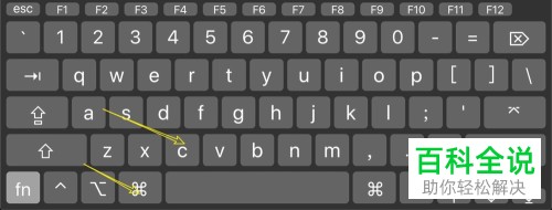 如何复制MacBook苹果电脑中的文件名称