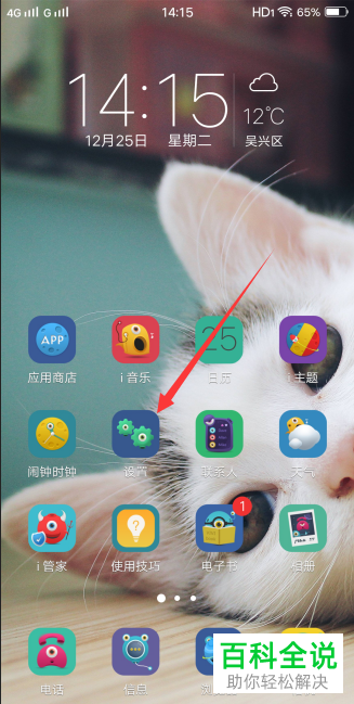 如何给VIVO手机设置静态IP地址