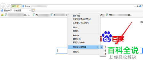 如何给Internet Explorer浏览器的标题设置长短宽度