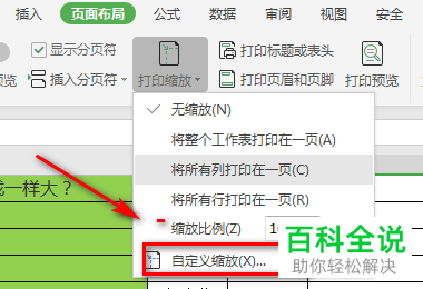 如何给WPS表格设置自定义打印比例